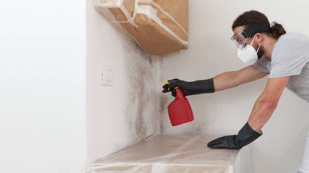 Professional Bathroom Mold Removal technician working in Huntly, VA