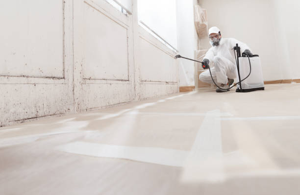 24/7 Emergency Bathroom Mold Removal experts in Huntly, VA